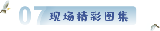 現(xiàn)場(chǎng)圖集